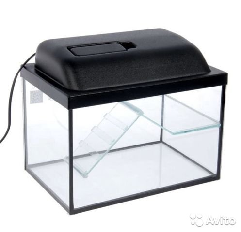 item