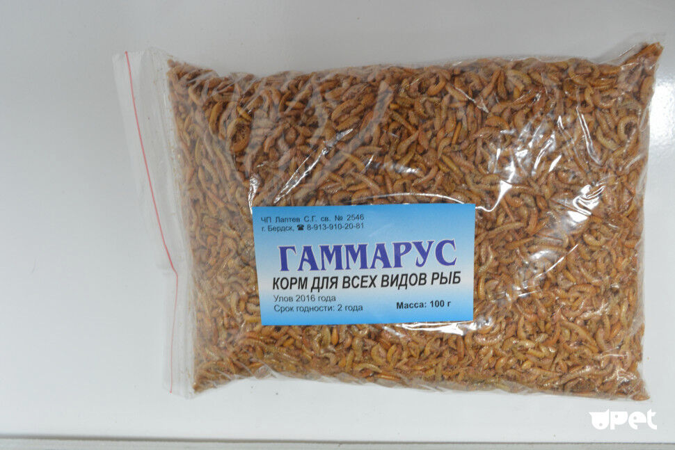 Гаммарус  п/п Бердск
